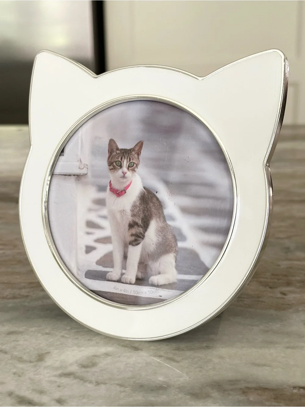 White Cat-Shaped Photo Frame for Pets